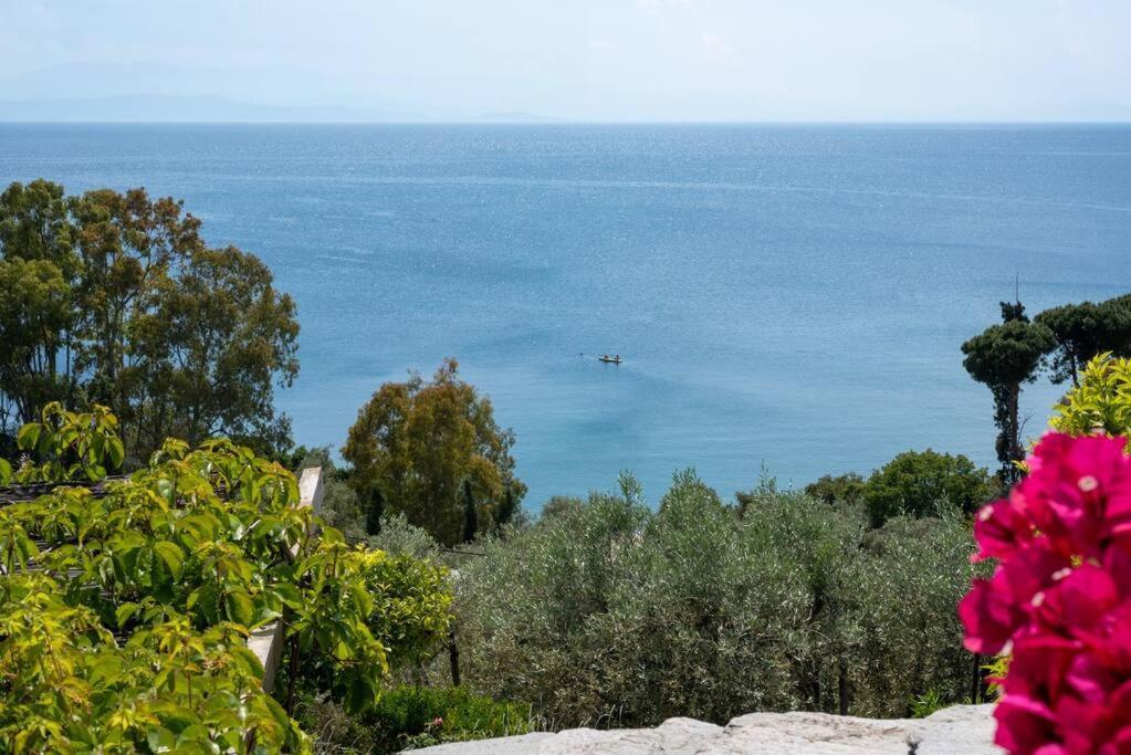 Seaside House With View Over Pagasitikos Afissos Zewnętrze zdjęcie